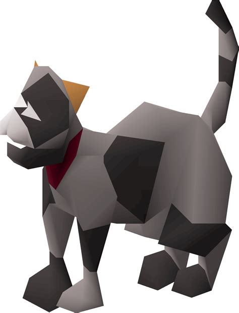 osrs kitten